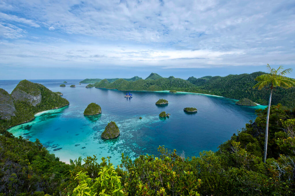 Snorkeling in Raja Ampat - Sea for Yourself - Snorkeling Safaris